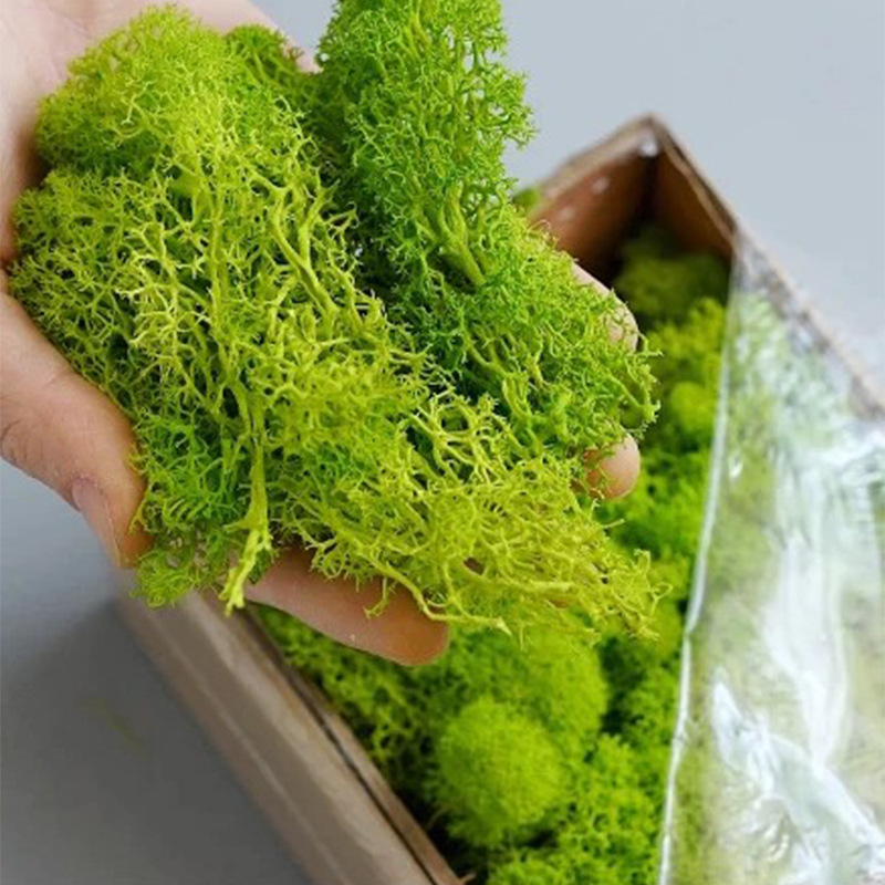 Kunstmatige Groene Planten Eeu - Sphagnum Moss Dry recensie en prijs