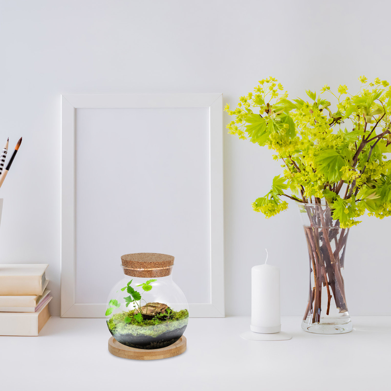2-delige hydroponische glazen  - Propagation Station Vase recensie en prijs