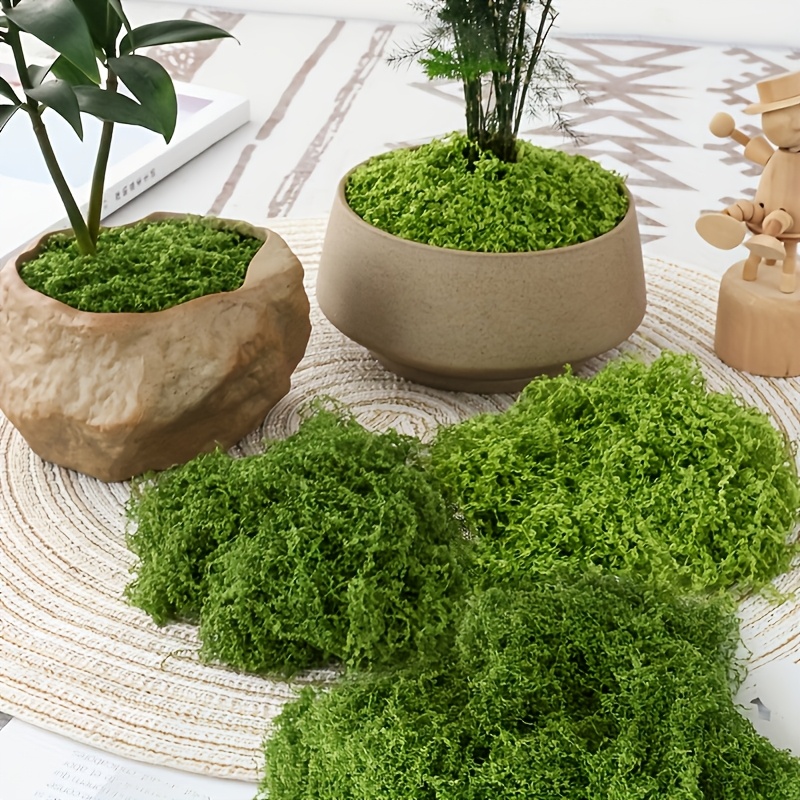 Groot pakket Realistisch kunst - Sphagnum Moss Dry recensie en prijs