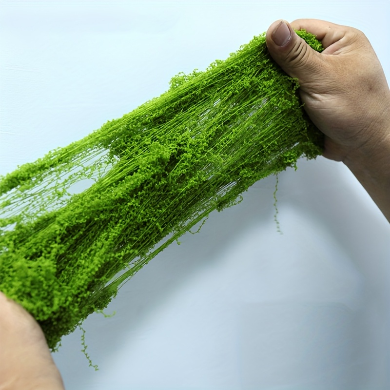 Groot pakket Realistisch kunst - Sphagnum Moss Dry recensie en prijs